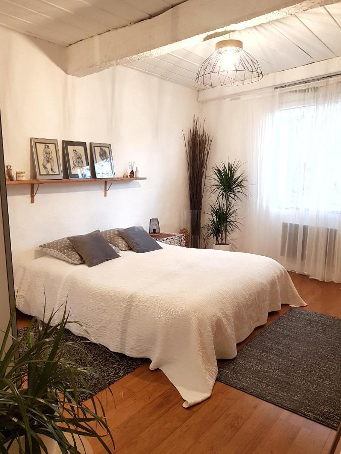 Chambre D Hotes "Lilimyna" Avec Petit Dejeuner 바르졸 외부 사진